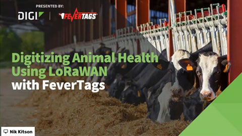 利用LoRaWAN实现动物健康数字化